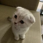 No Name