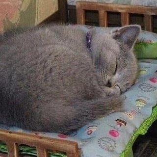 Оксана Костенко