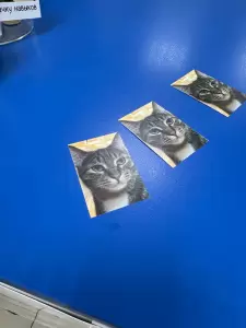 Фотография Фотоцентр Фокус 1