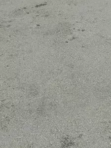 Фотография Meduza-print 4