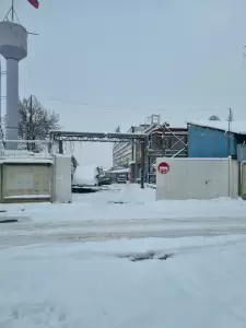 Фотография Solo print 3