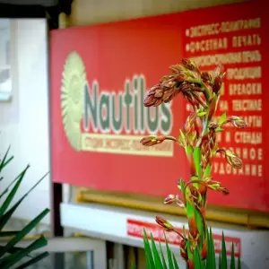Фотография Nautilus 2