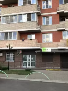 Фотография Lime 3